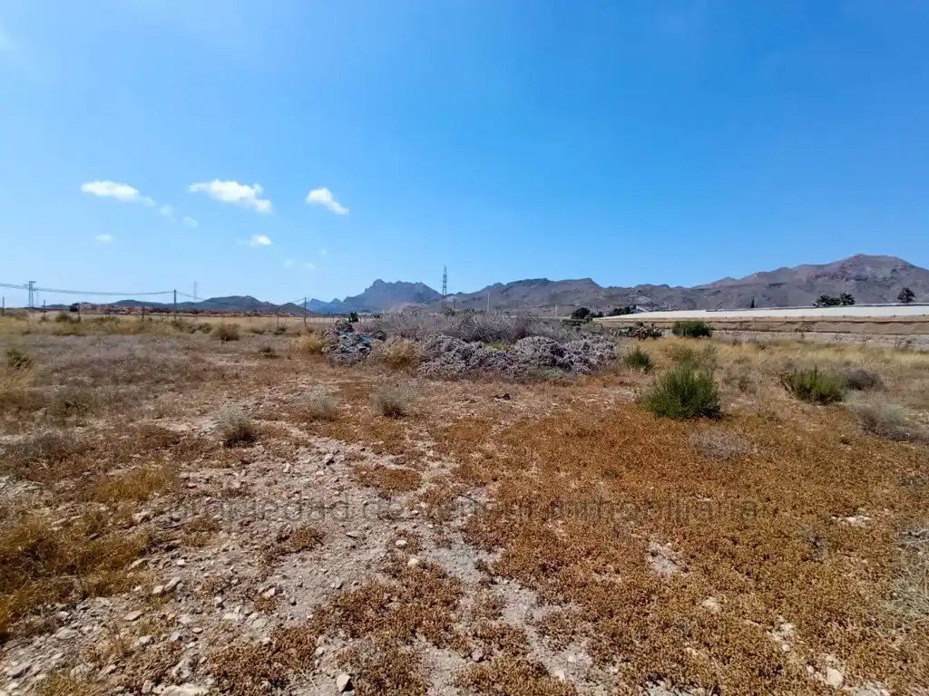 Terreny residencial en venda a Calarreona