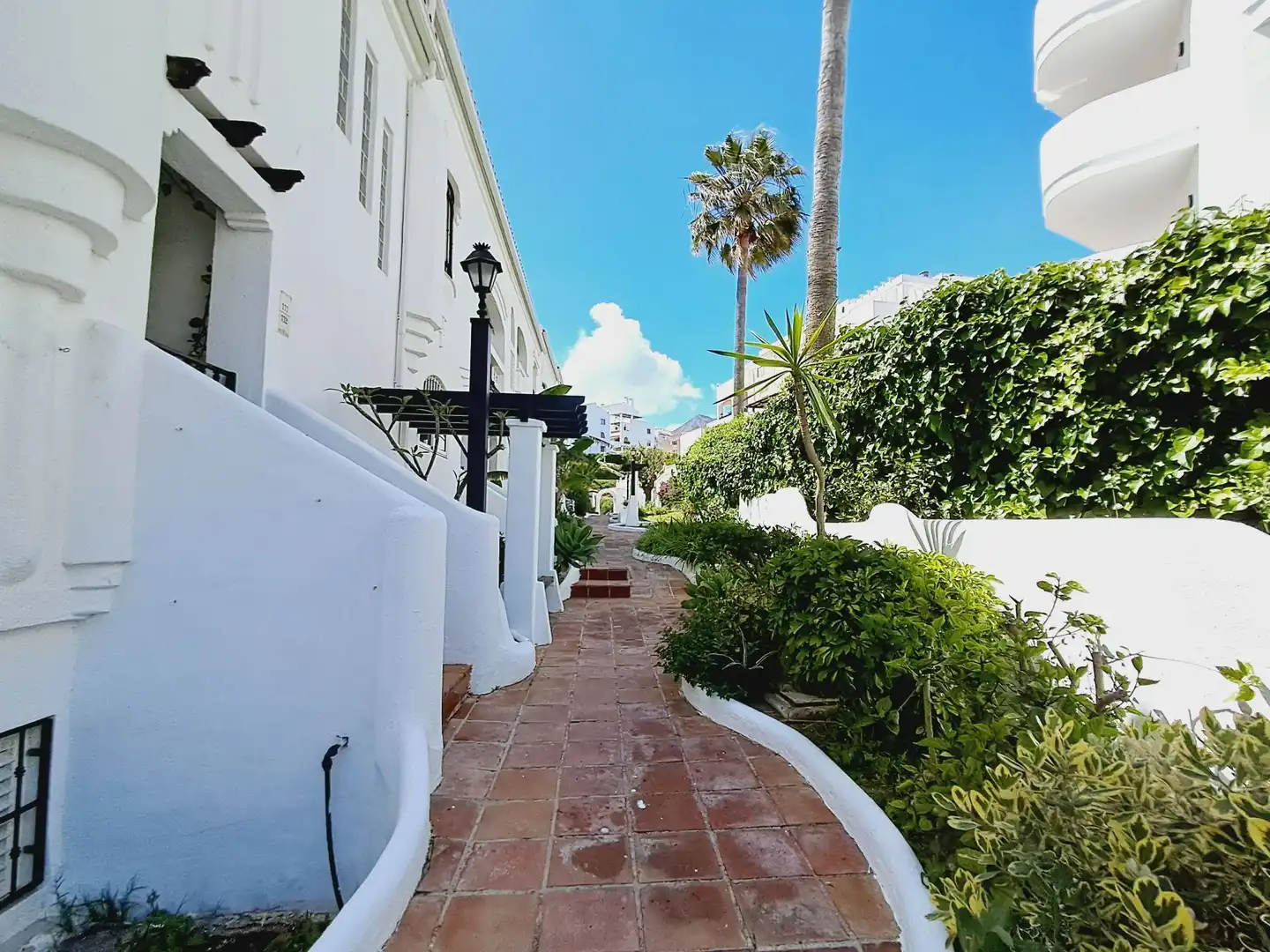 Appartement compact avec piscine à vendre à Albatros 16, imagen 25