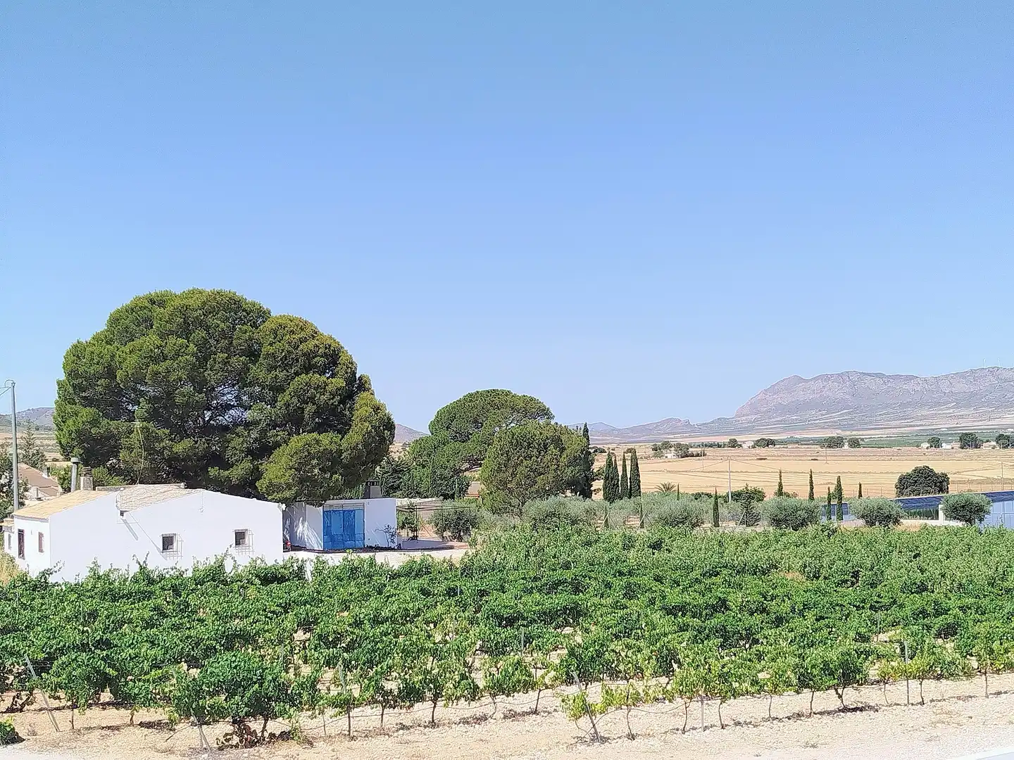 Vista exterior de Finca rústica en venda en Yecla amb Aire condicionat i Terrassa