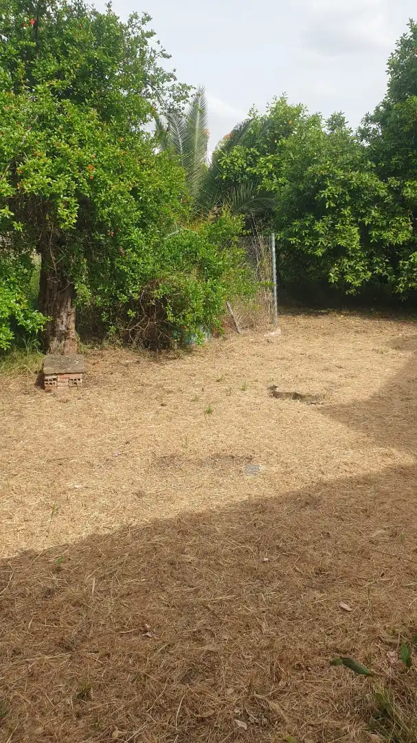 Casa en venda a Parque de la Constitución 5A, imagen 4