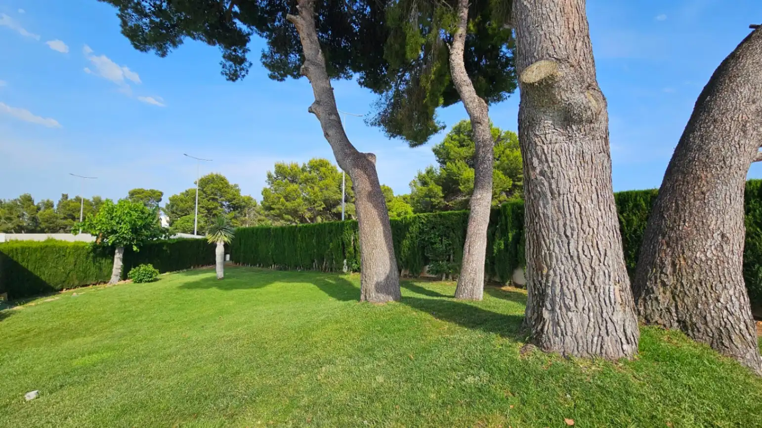 Garten von Wohnungen zum Verkauf in Alcalà de Xivert mit Klimaanlage, Heizung und Privatgarten