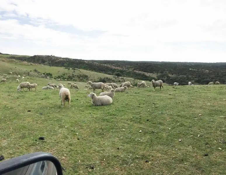 Casa rústica en venda a Valverde del Camino, imagen 4