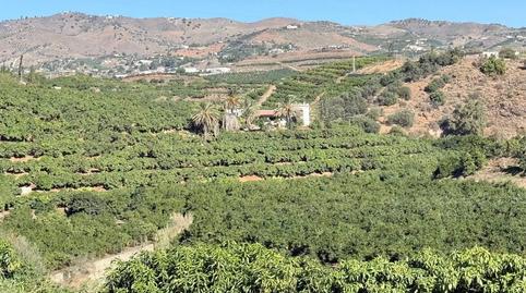 Photo 2 of Land for sale in Viña Málaga, Vélez-Málaga