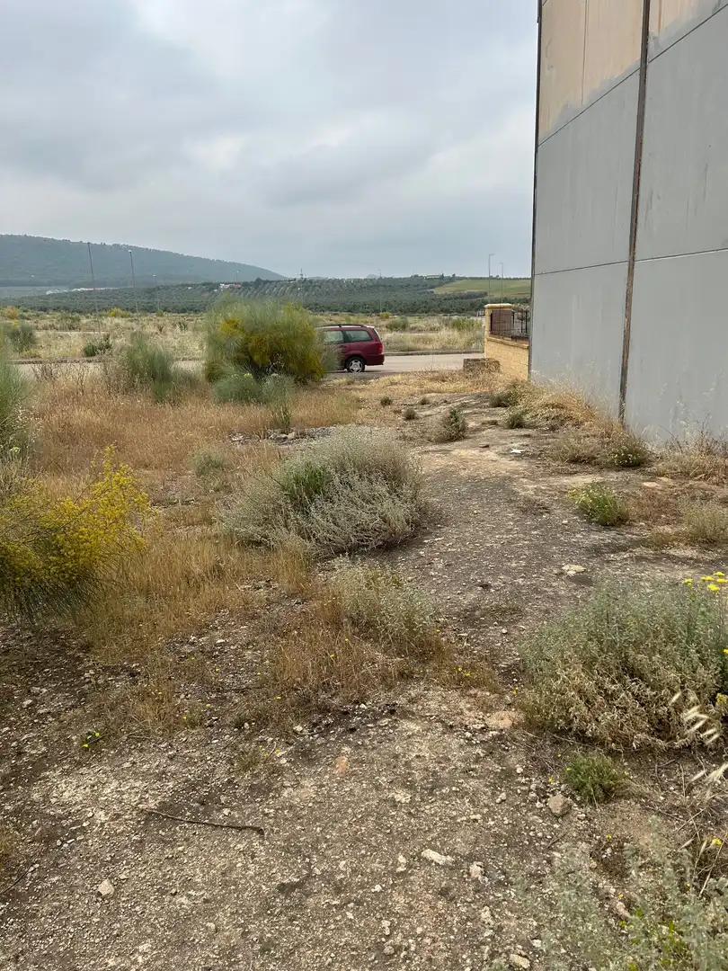 Lands and plots for sale in Mollina, imagen 3