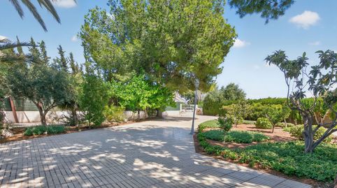 Photo 5 of Houses for sale in Los Girasoles, San Vicente del Raspeig / Sant Vicent del Raspeig