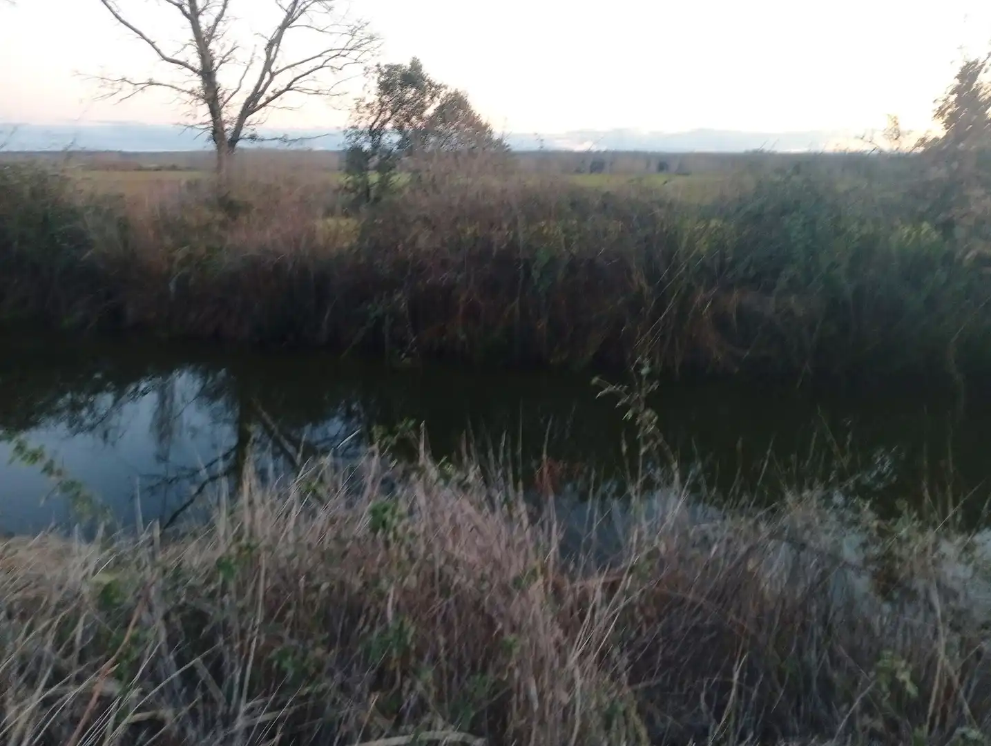 Land for sale in Losar de la Vera