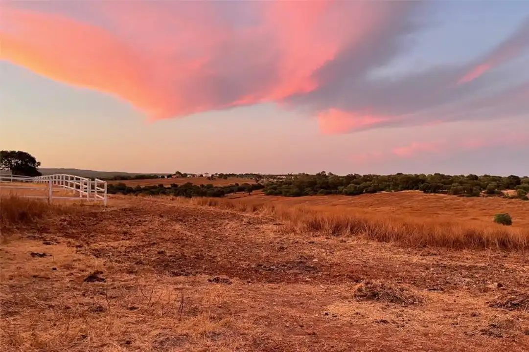 Terreno en venta en La Calzada - La Florida