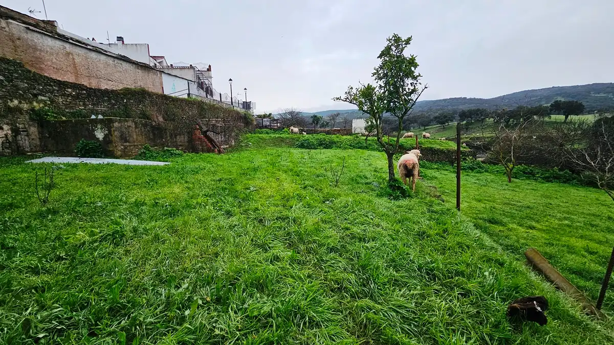Residential for sale in Arroyomolinos de León