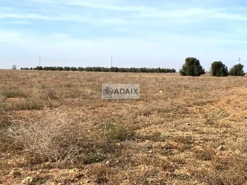 Terrenos y solares en venta en Socuéllamos, imagen 6