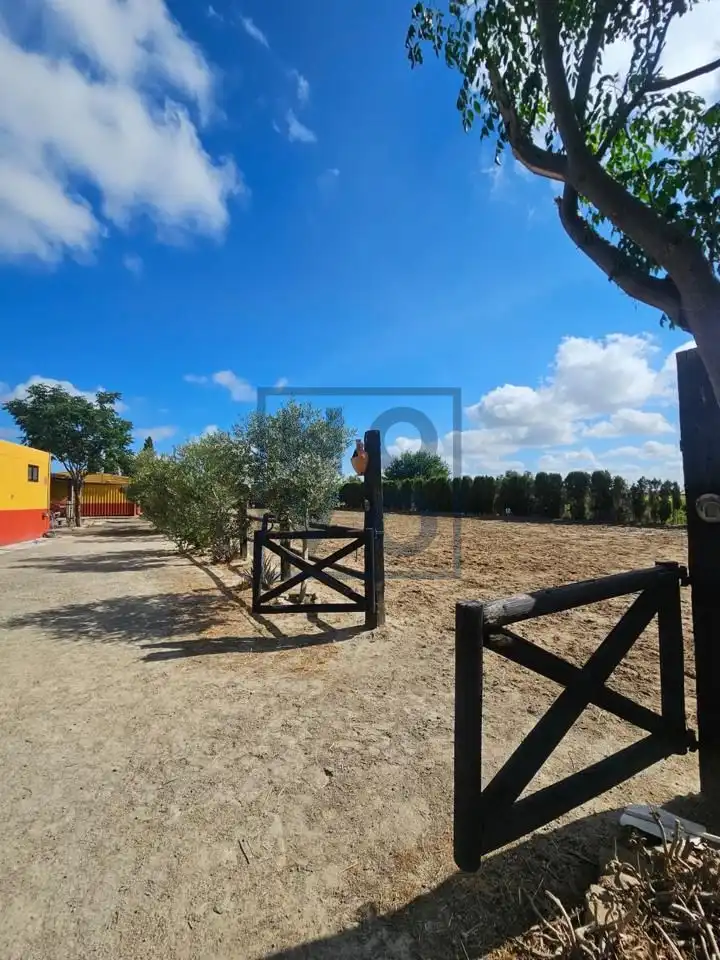 Finca rústica en venda en Lebrija