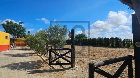 Foto 3 de Finca rústica en venda a Lebrija, Sevilla