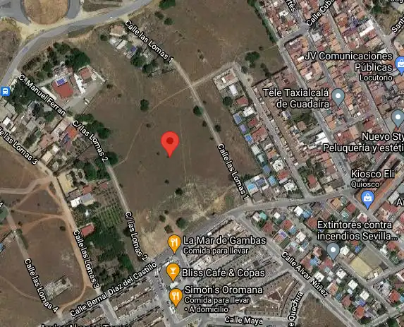 Terreni e lotti in vendita a CL BERNAL DIAZ DEL CASTILLO, imagen 26