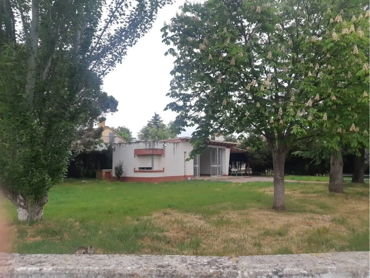 Rustikales Grundstück zum Verkauf in Alpicat
