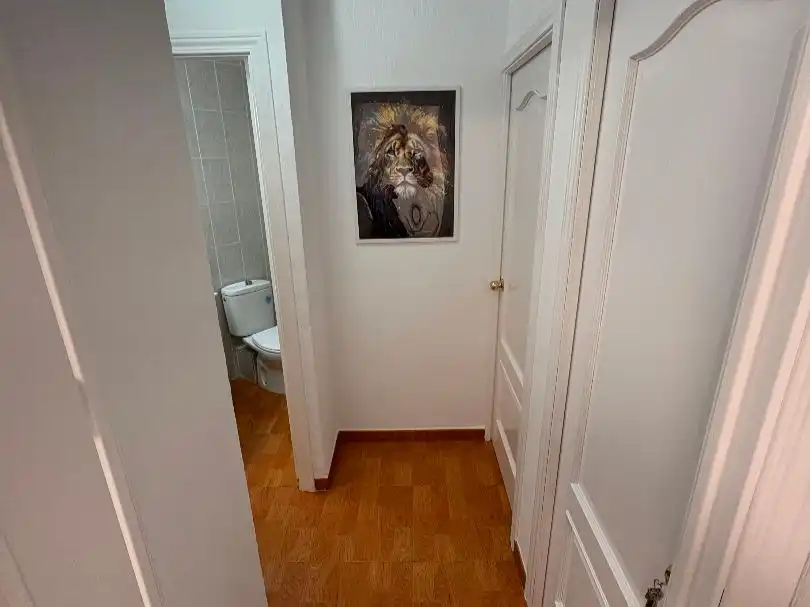 Piso para compartir en Levante