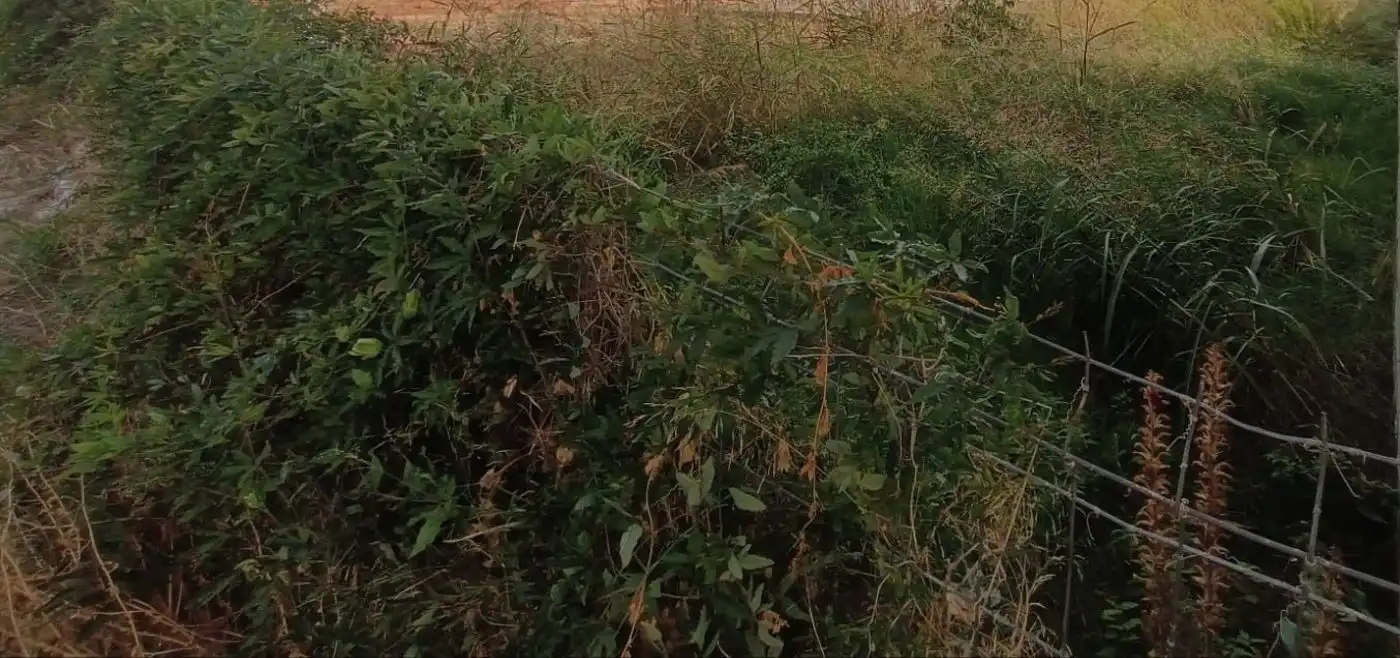 Terreno residencial en venta en Bellvei, imagen 3
