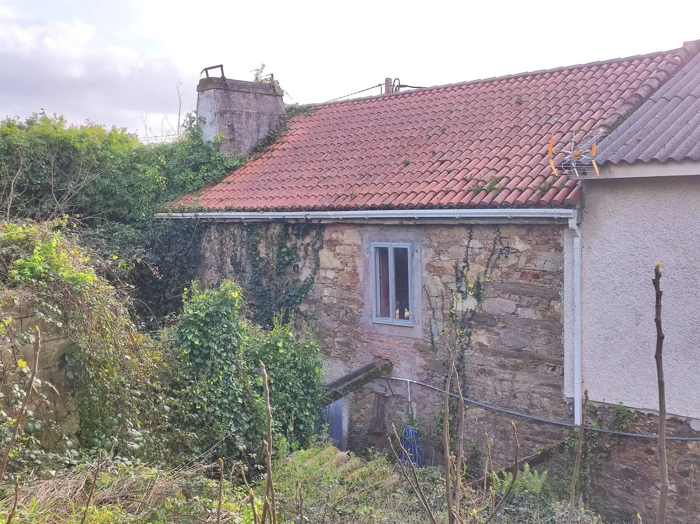 Villa avec jardin à vendre à CP-0506, imagen 6