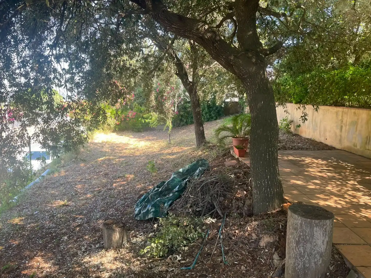 Casa o chalet en venta en Pals con Terraza