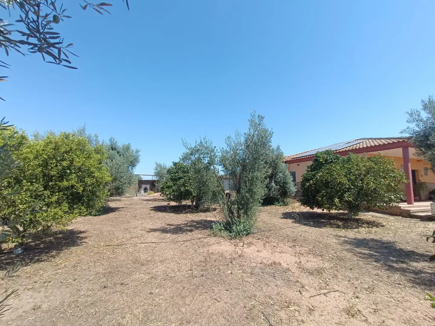 Casa o chalet en venta en Pilas con Jardín privado y Piscina
