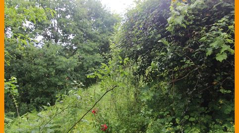 Photo 5 of Houses for sale in Nogueira de Ramuín, Ourense