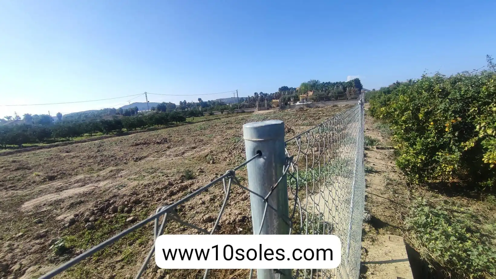 Terreno rustico in vendita a Jacarilla, imagen 6