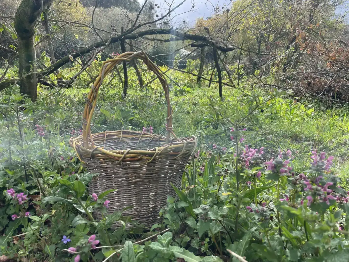 Garten von Country house zum Verkauf in Moaña mit Schwimmbad