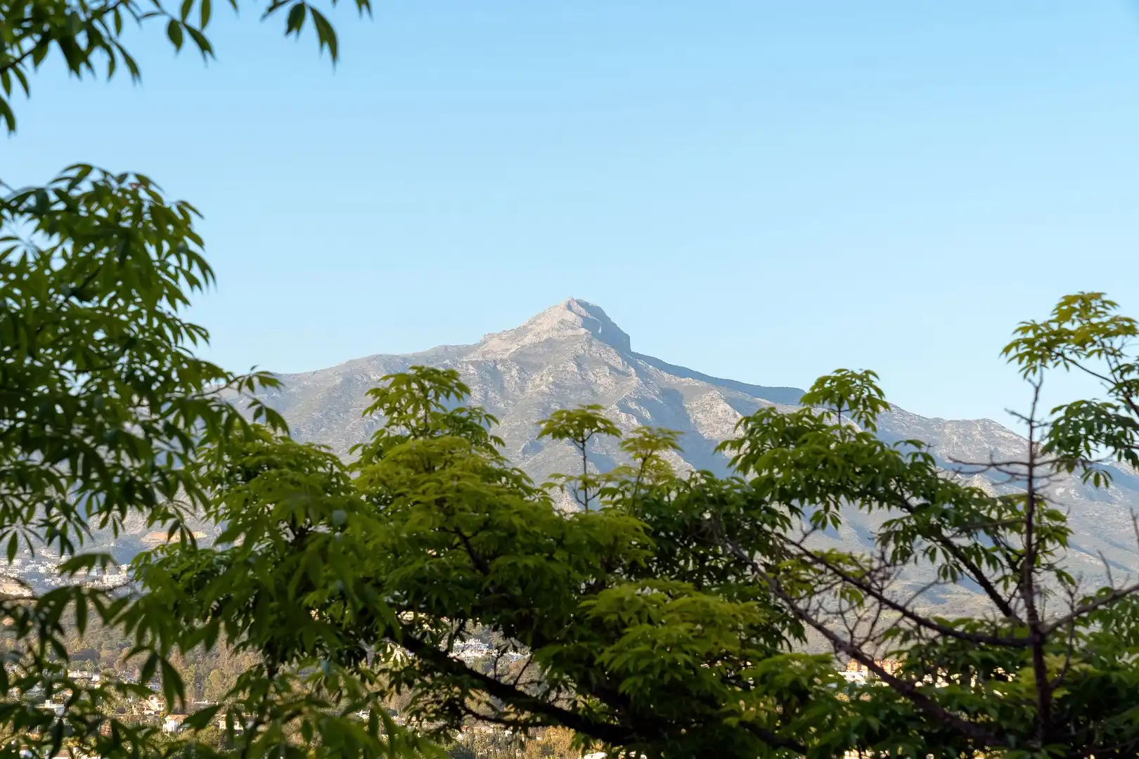 Vista exterior de Planta baja en venta en Marbella con Aire acondicionado, Calefacción y Jardín privado