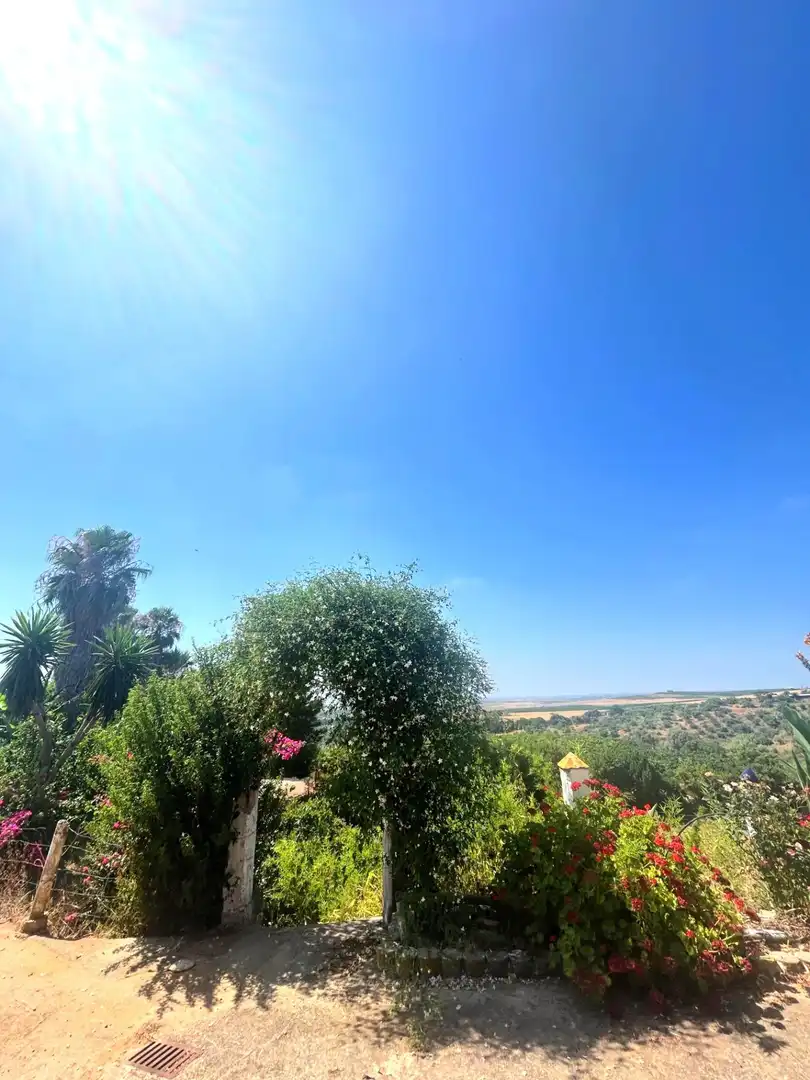 Jardín de Finca rústica en venta en Cantillana con Aire acondicionado, Terraza y Piscina