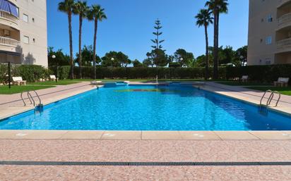 Swimming pool of Flat for sale in Elche / Elx  with Terrace