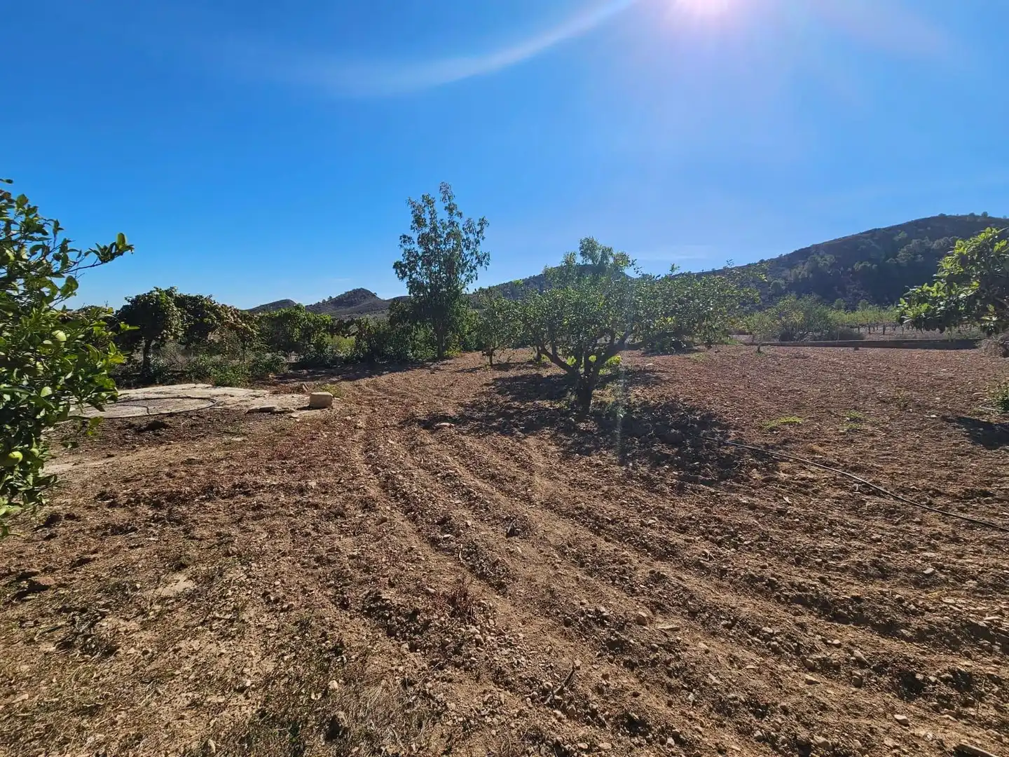 Casa rústica con piscina en venta en La Pinilla - Las Palas, imagen 34