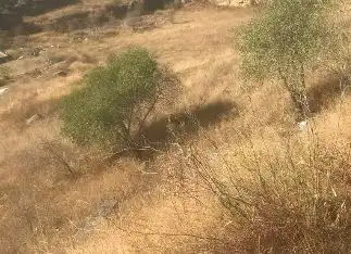 Finca rústica en venda en Orusco de Tajuña