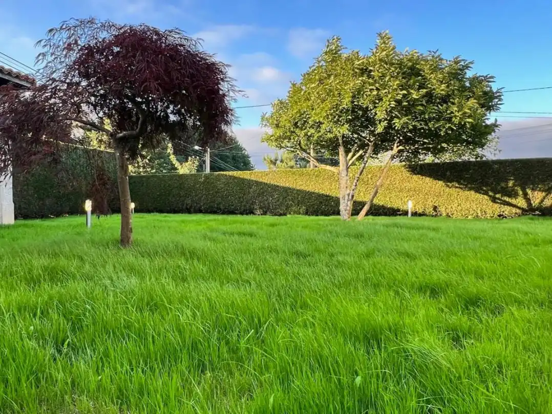 Casa o xalet en venda en Santiago de Compostela  amb Terrassa, Piscina i Balcó