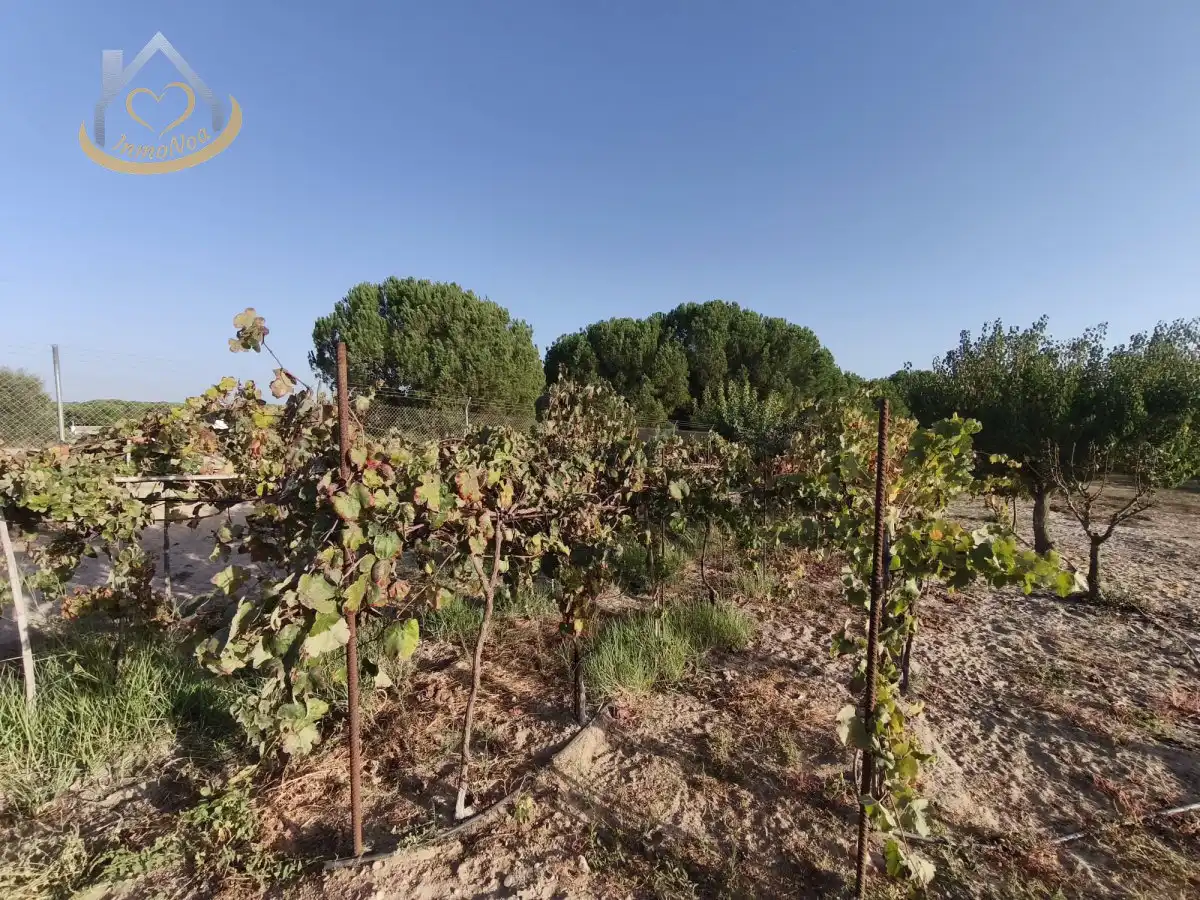 Terreni e lotti in vendita a Cartaya, imagen 4