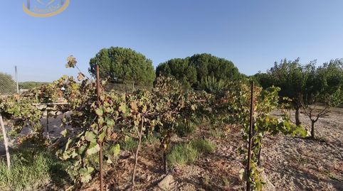 Foto 4 von Grundstücke zum Verkauf in Cartaya, Huelva