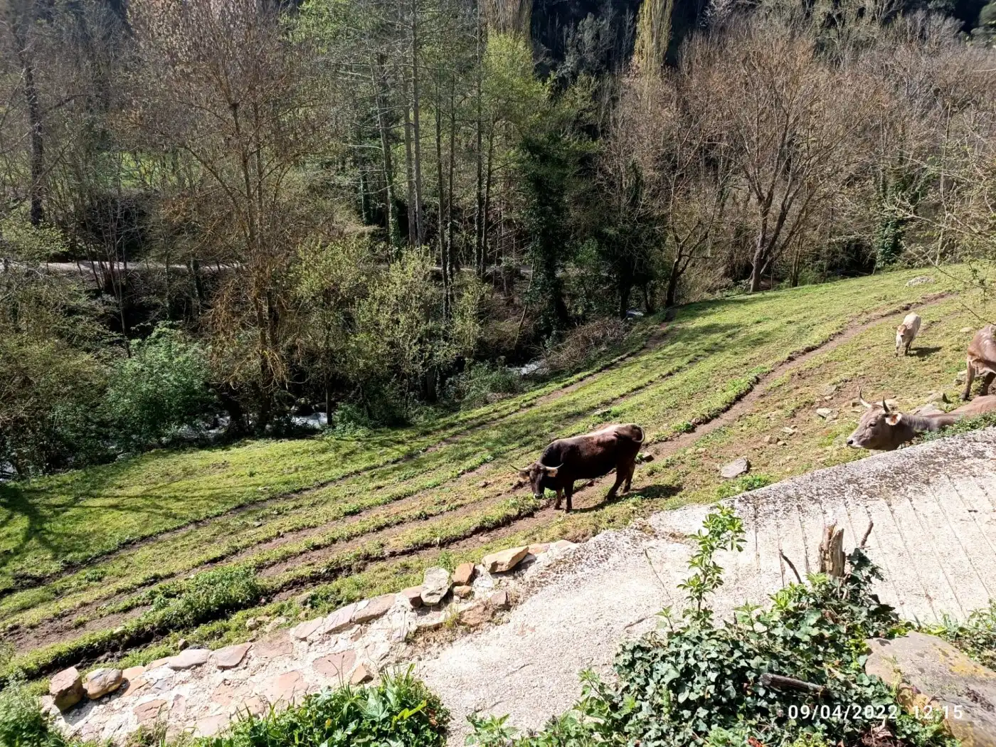 Garden of Residential for sale in Cabezón de Liébana