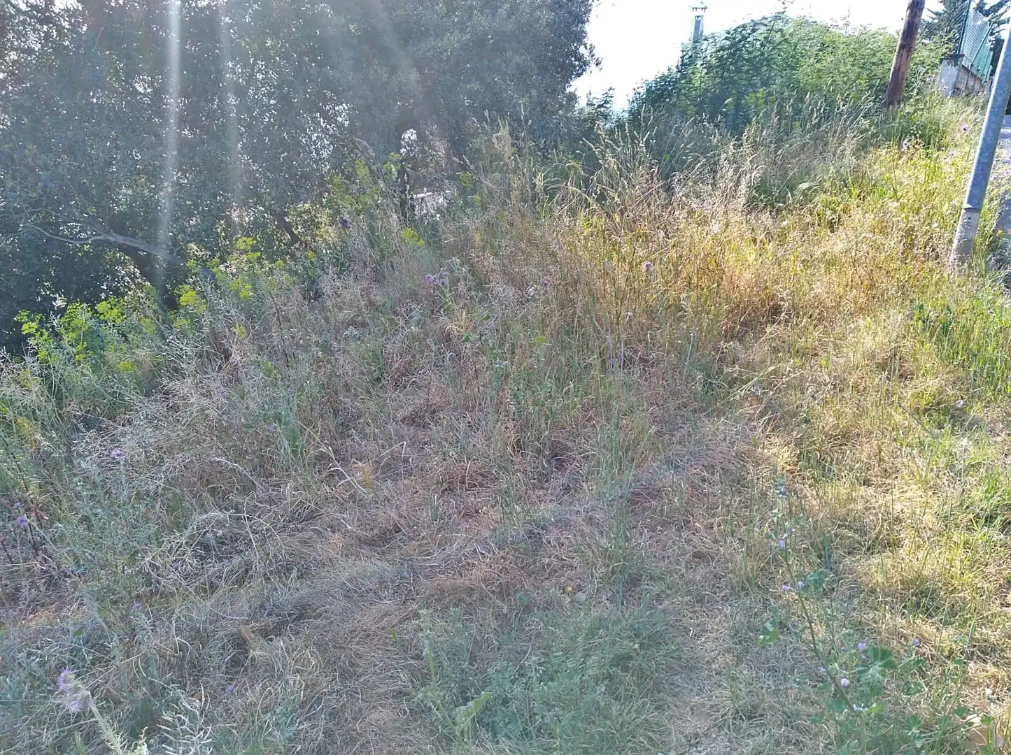 Terreno residencial en venta en Mas Mora - Sant Daniel, imagen 5