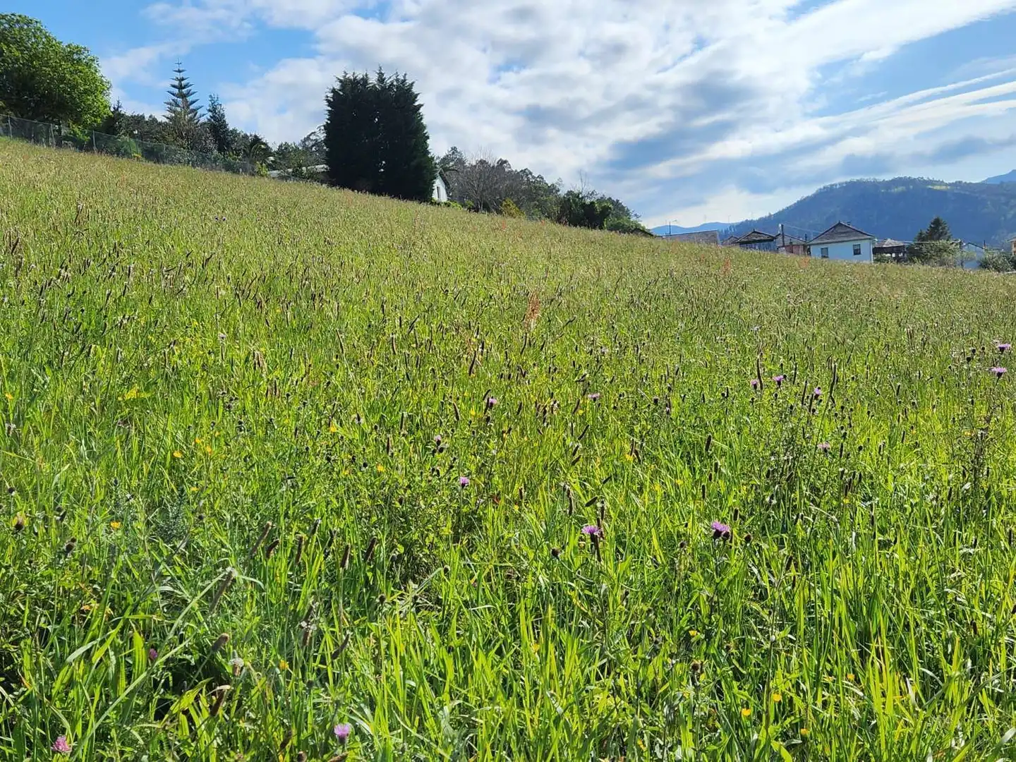 Wohnbaugrundstück zum Verkauf in ALDEA ALDIN,VALDES, imagen 5