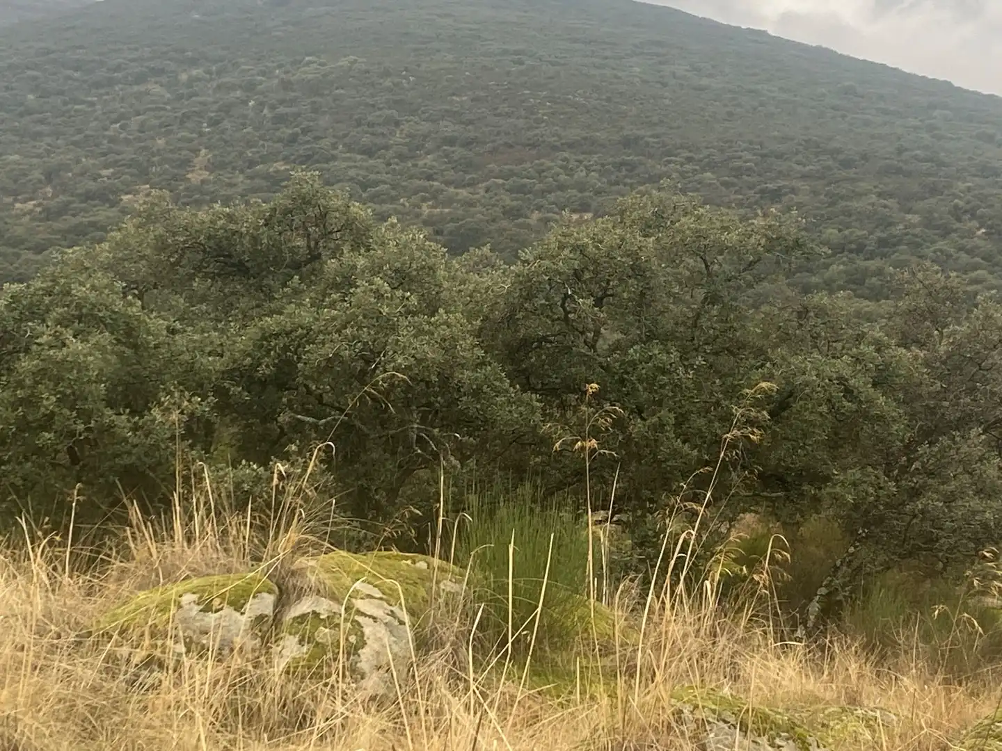 Terreni e lotti in vendita a La Estrella, imagen 32