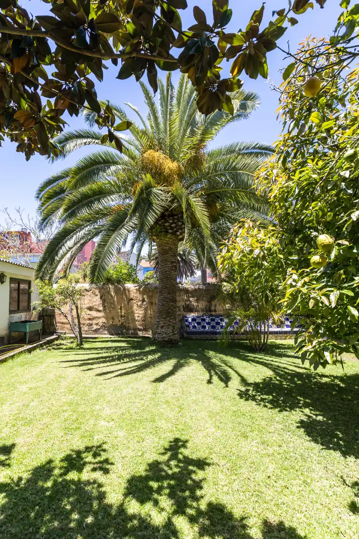 Jardí de Pis en venda en San Cristóbal de la Laguna amb Jardí privat, Terrassa i Moblat