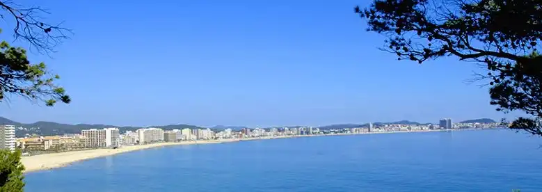 Gewerbefläche zum Verkauf in Avinguda Catalunya, imagen 16