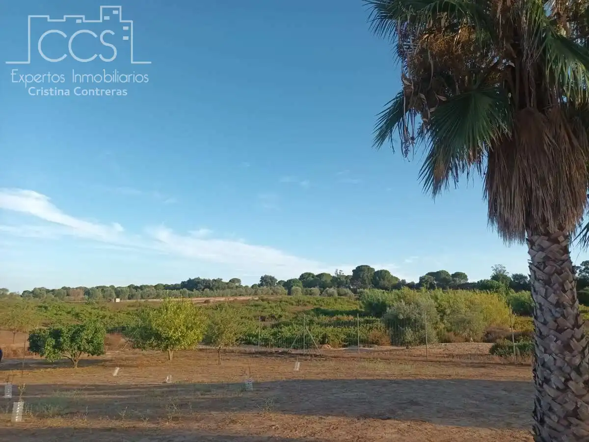 Finca rústica en venda en Bollullos Par del Condado amb Jardí privat i Moblat