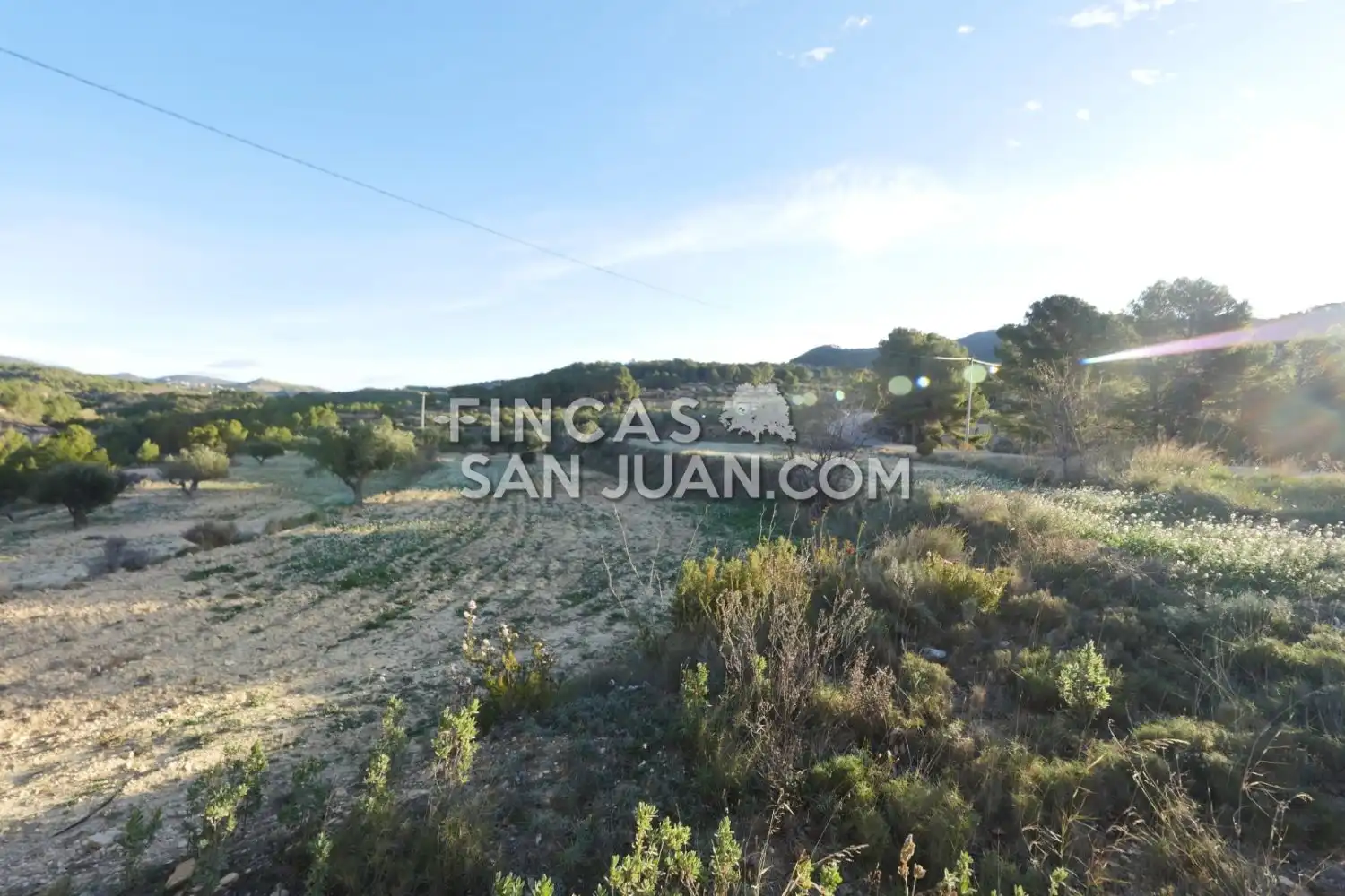 Terreny residencial en venda a Torremanzanas / La Torre de les Maçanes, imagen 17