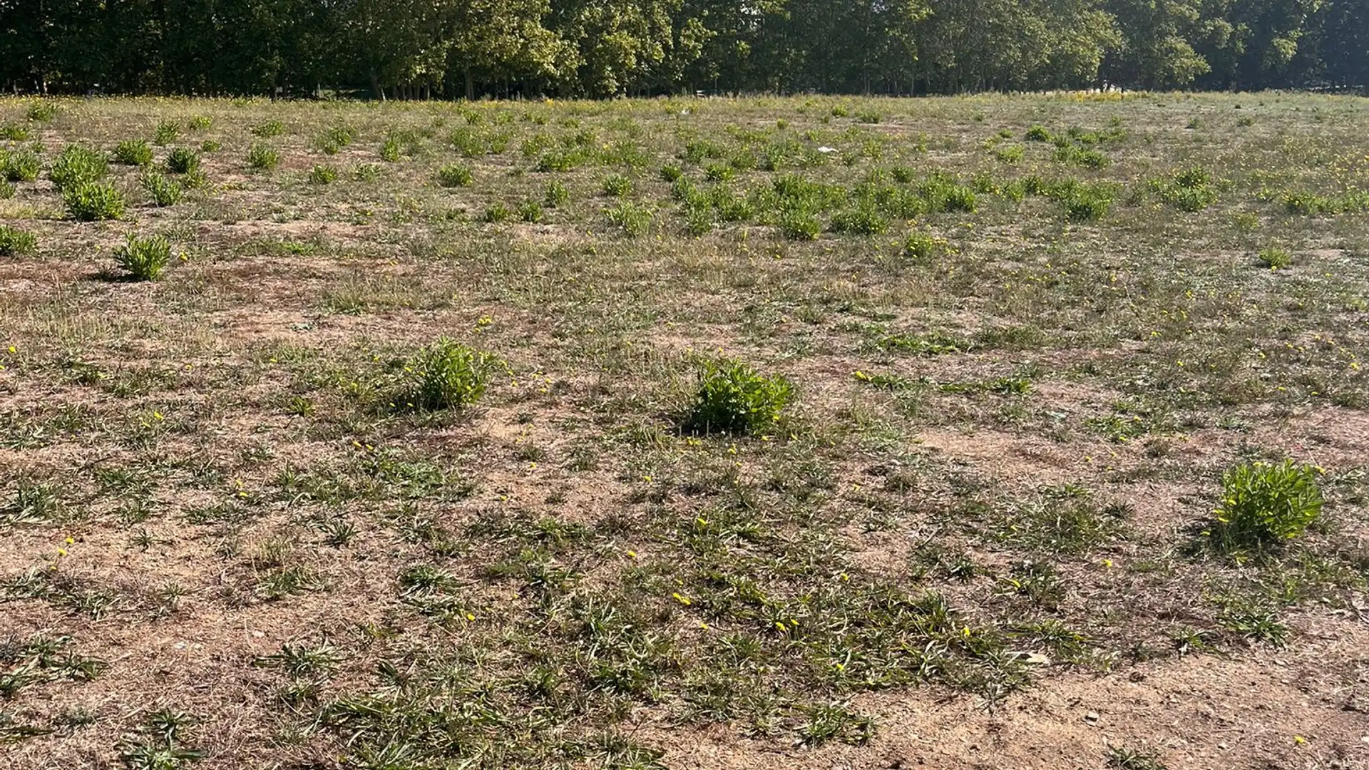 Residencial en venta en Llinars del Vallès