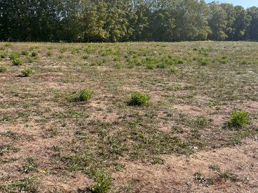 Terreny residencial en venda a Llinars del Vallès