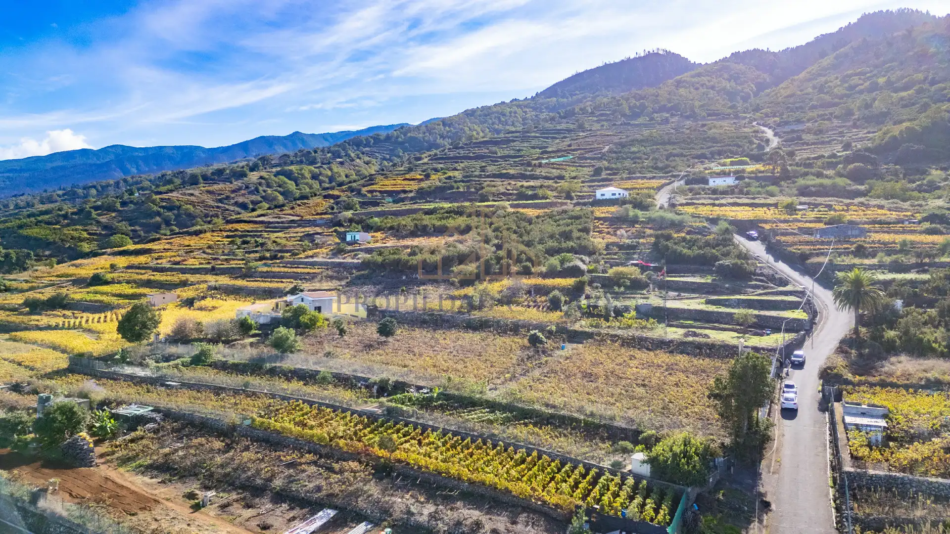 Finca rústica en venda en Santa Úrsula amb Terrassa