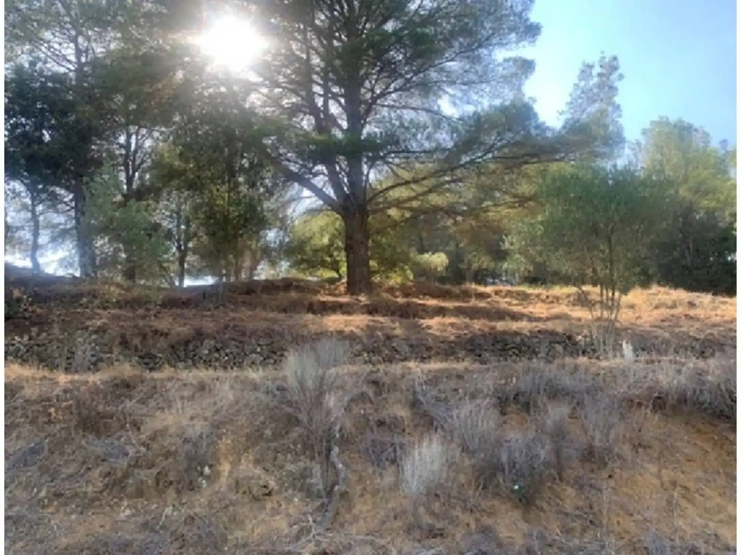 Terreno rustico in vendita a Calle de les Rutxel les 128, imagen 9