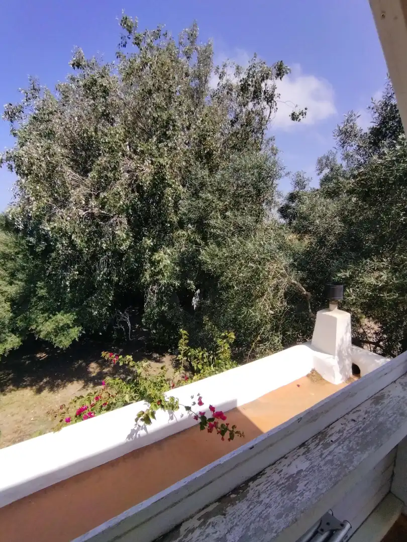 Terrassa de Finca rústica en venda en Vejer de la Frontera amb Jardí privat, Terrassa i Moblat