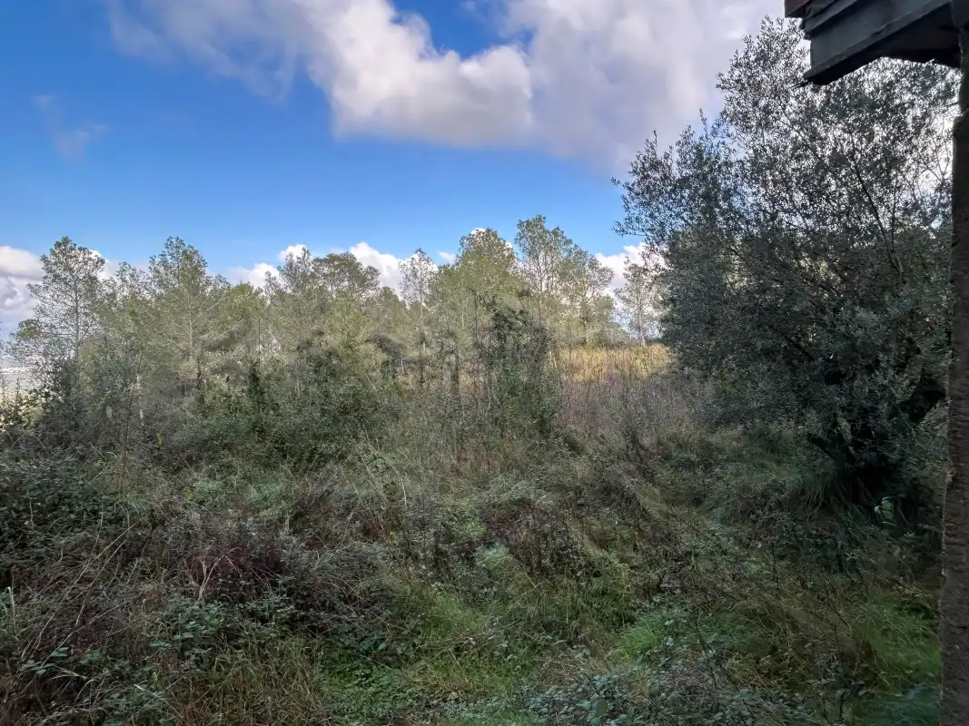 Rural land for sale in Partida Tancaes, imagen 7