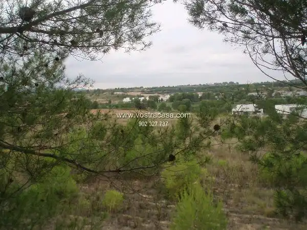 Terreno rustico in vendita a Veintiséis