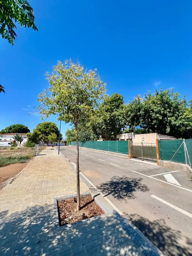 Terreny residencial en venda a PUJOL SOLANELLAS M ANGEL, imagen 2