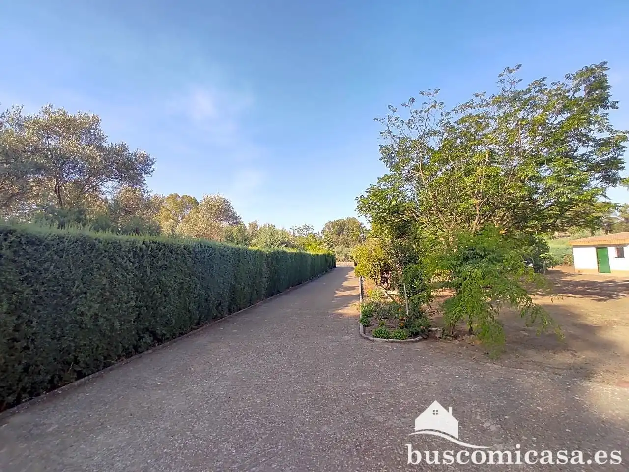 Casa rústica amb piscina en venda a Principal, imagen 4